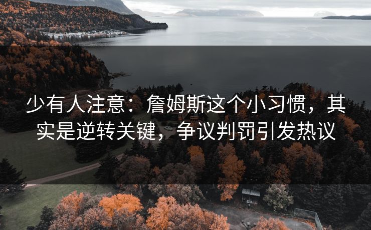 少有人注意：詹姆斯这个小习惯，其实是逆转关键，争议判罚引发热议  第1张