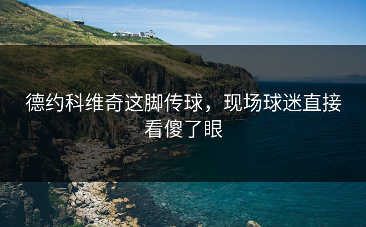 德约科维奇这脚传球,现场球迷直接看傻了眼