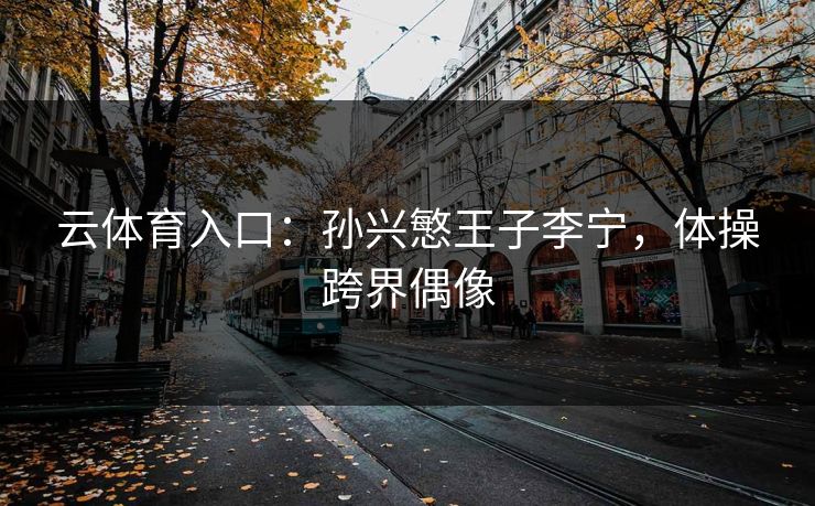 云体育入口:孙兴慜王子李宁,体操跨界偶像
